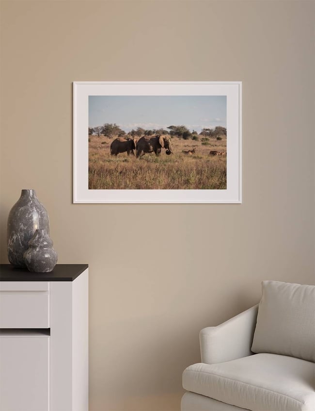 Wild Elephants