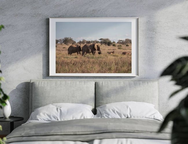 Wild Elephants