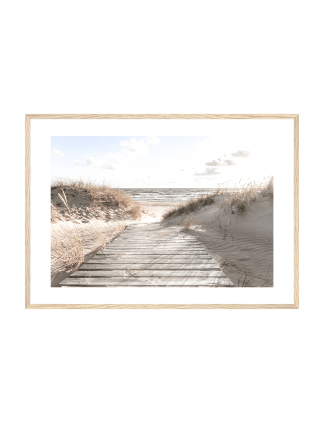 Beach Trail