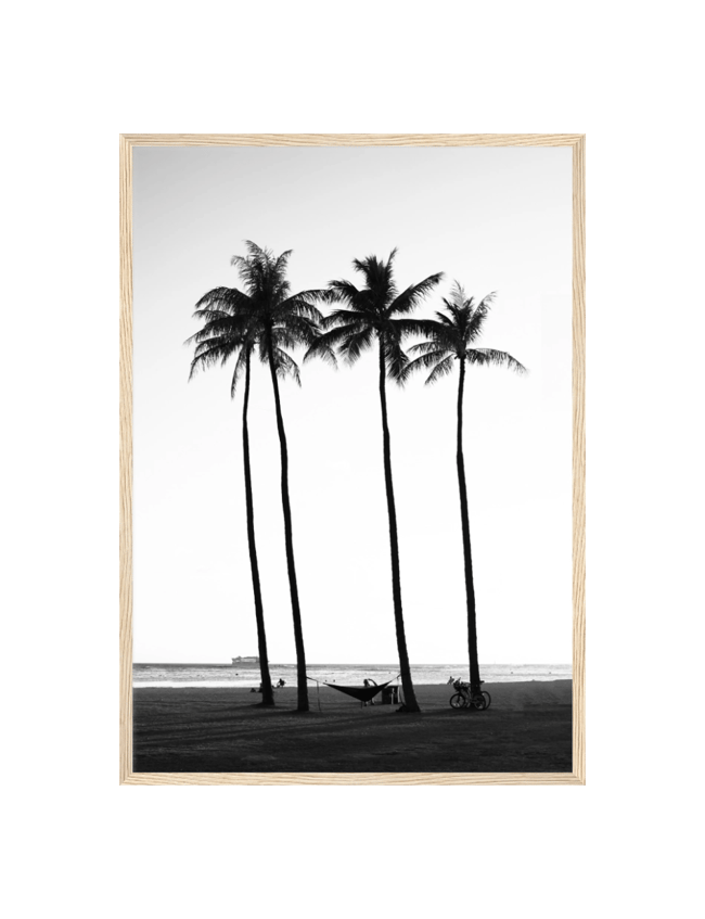 Beachside Palms