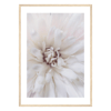 Blossom Detail