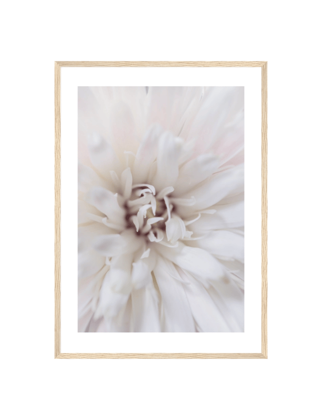 Blossom Detail