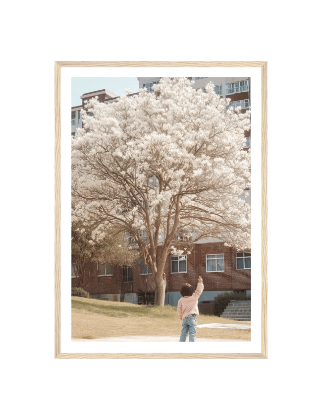Blossom Gaze