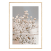 Dried Blossoms