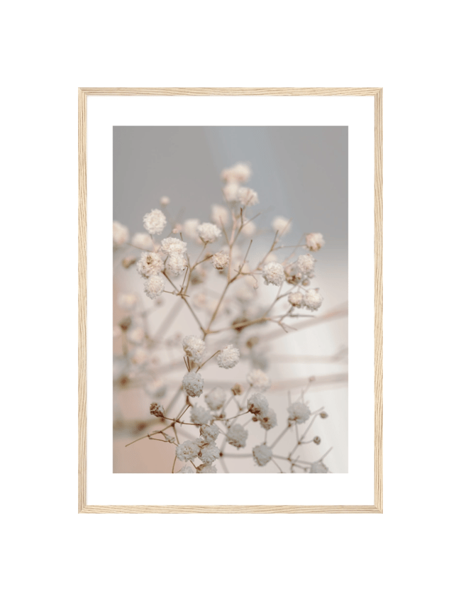 Dried Blossoms