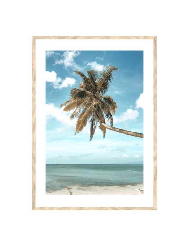 Exotic Shore