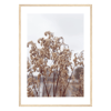 Fall Scenery 02