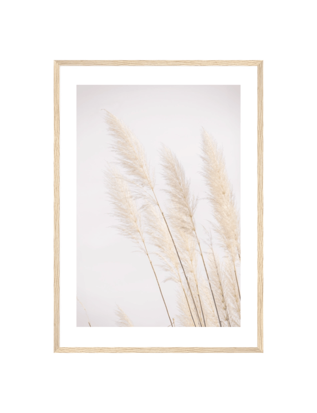 Golden Grass