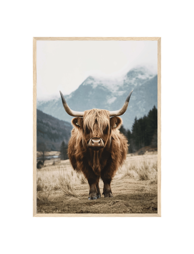 Highland Guardian
