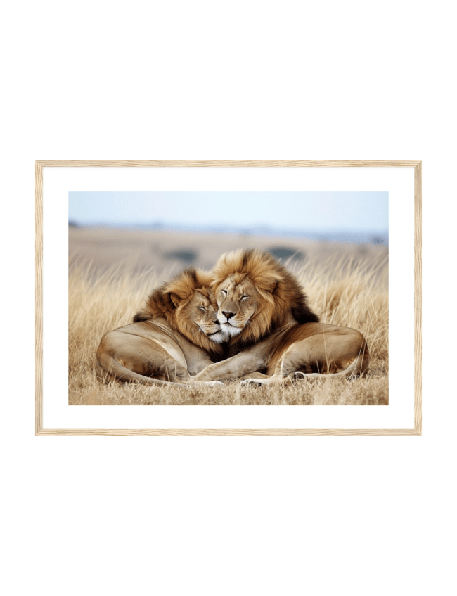 Lion Brothers