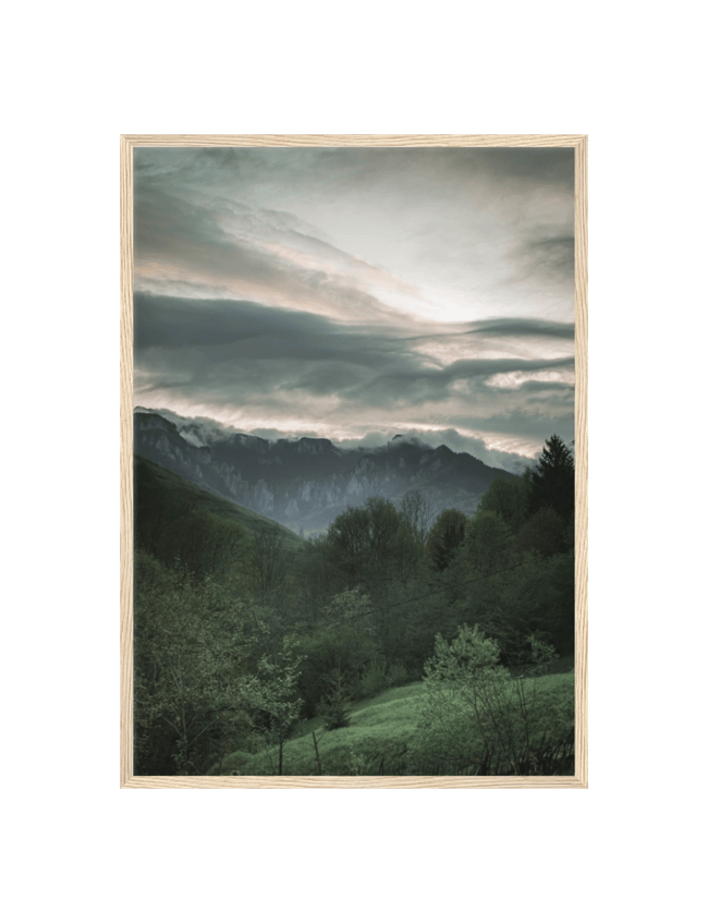 Mountainous Forest
