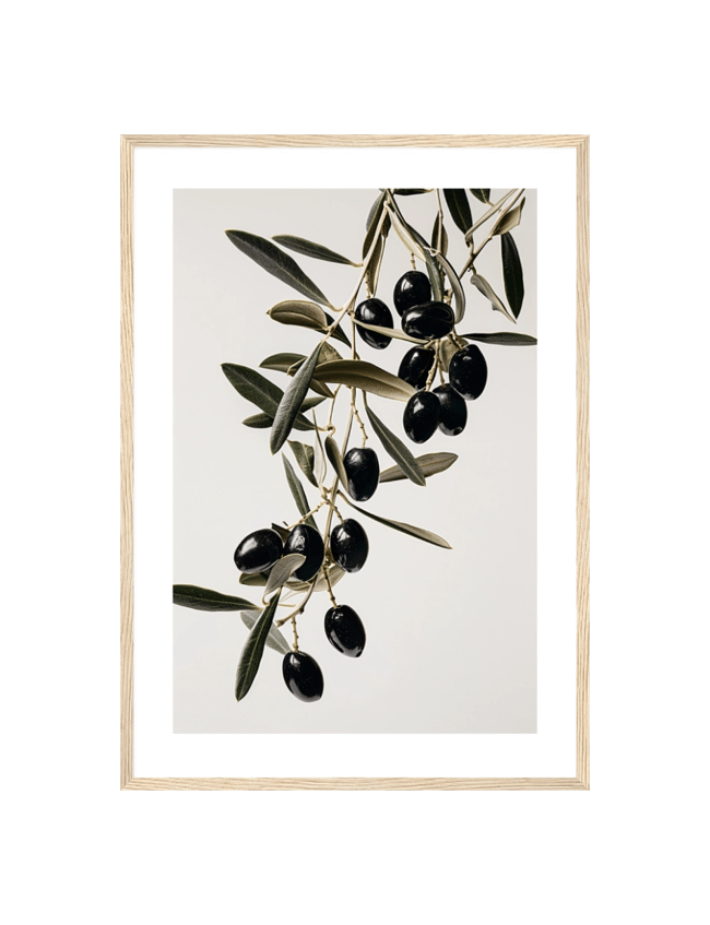 Olive Elegance