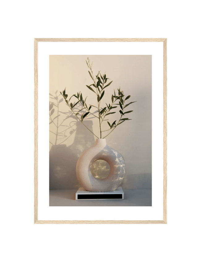 Olive Leafs