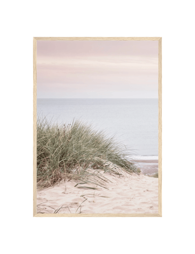 Sandy Shoreline 01