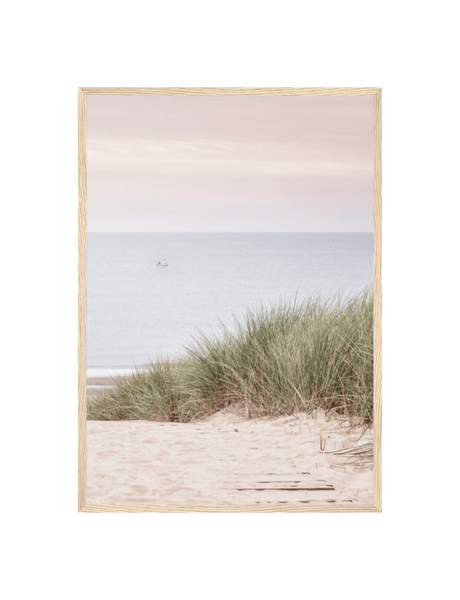 Sandy Shoreline 02