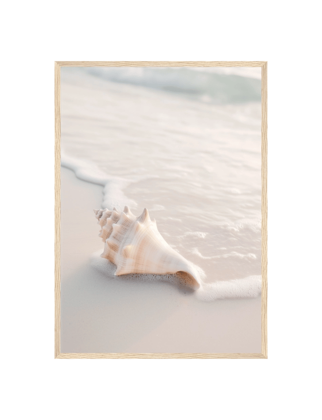 Seashell Symphony