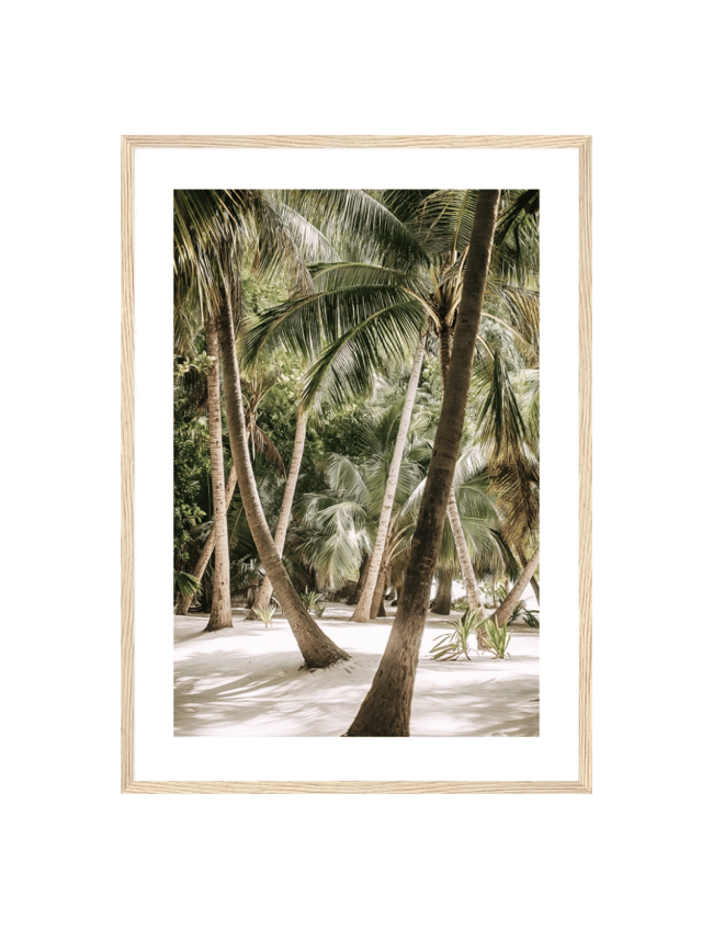 Tropical Wilderness
