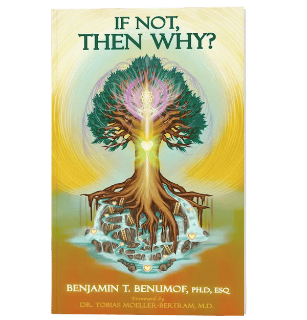 The cover of IF NOT, THEN WHY?