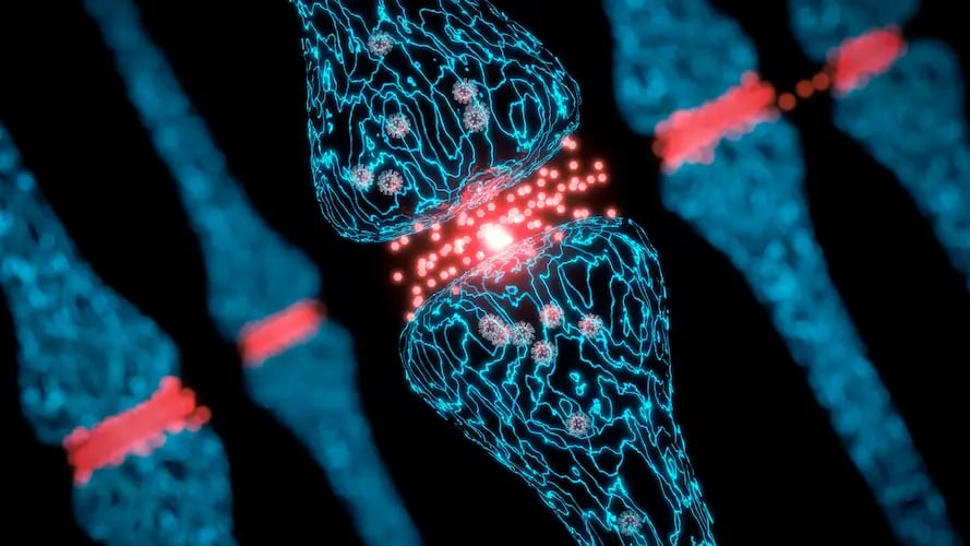 Image of a double helix