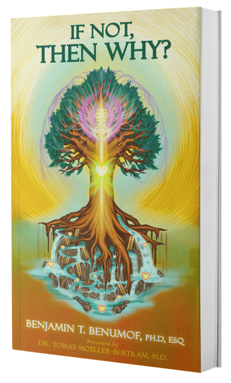 Image of the cover of IF NOT, THEN WHY?