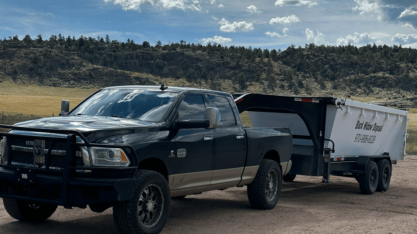 Black Widow Disposal