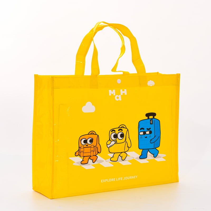 Custom Printed Hand Carry Woven Bag – Branding & Gift Packaging for Kids & Lifestyle 