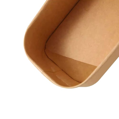Food-Grade Packaging Container – Eco-Friendly Takeaway Box for Meals & Bento