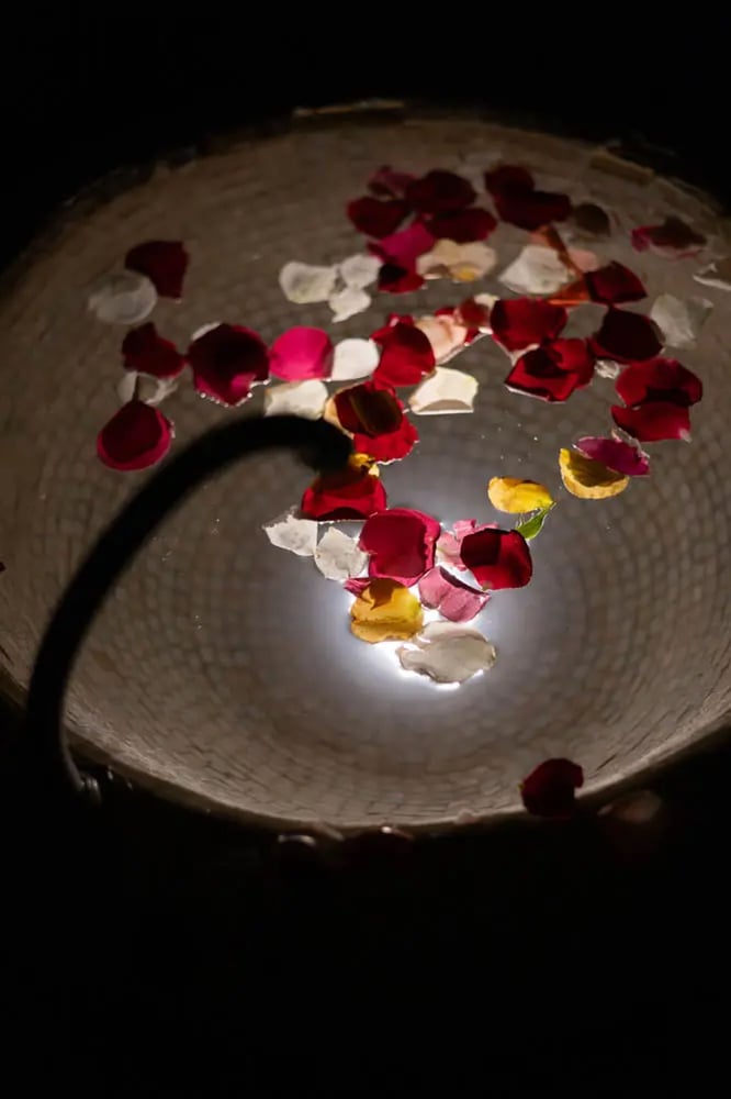 Hammam de la Rose