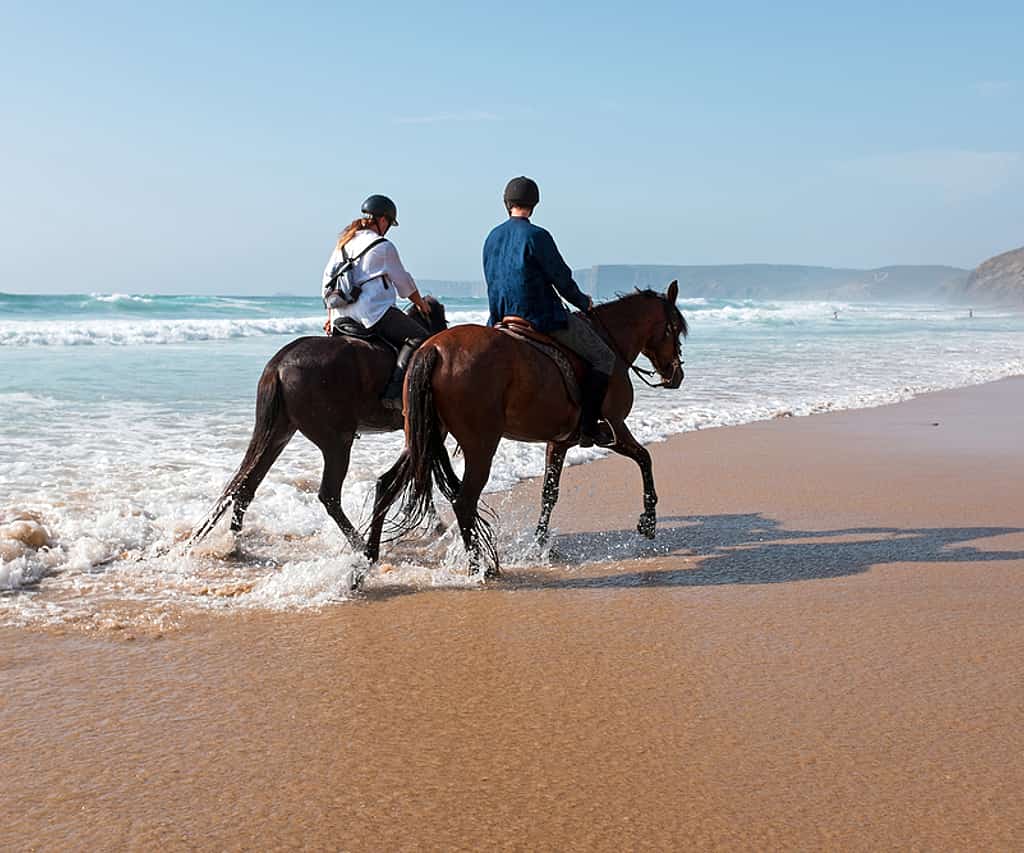 Paseo a Caballo en Agadir