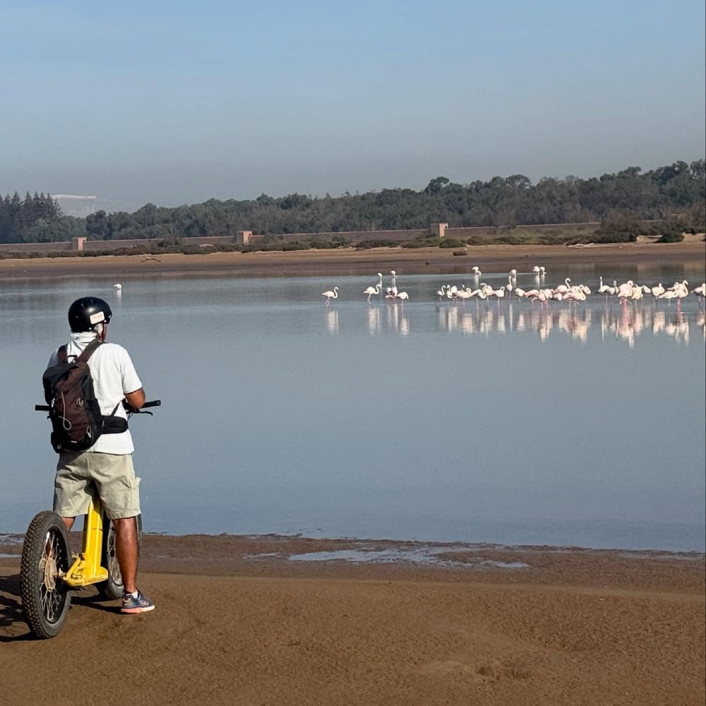 Electric Scooter Ride in Agadir
