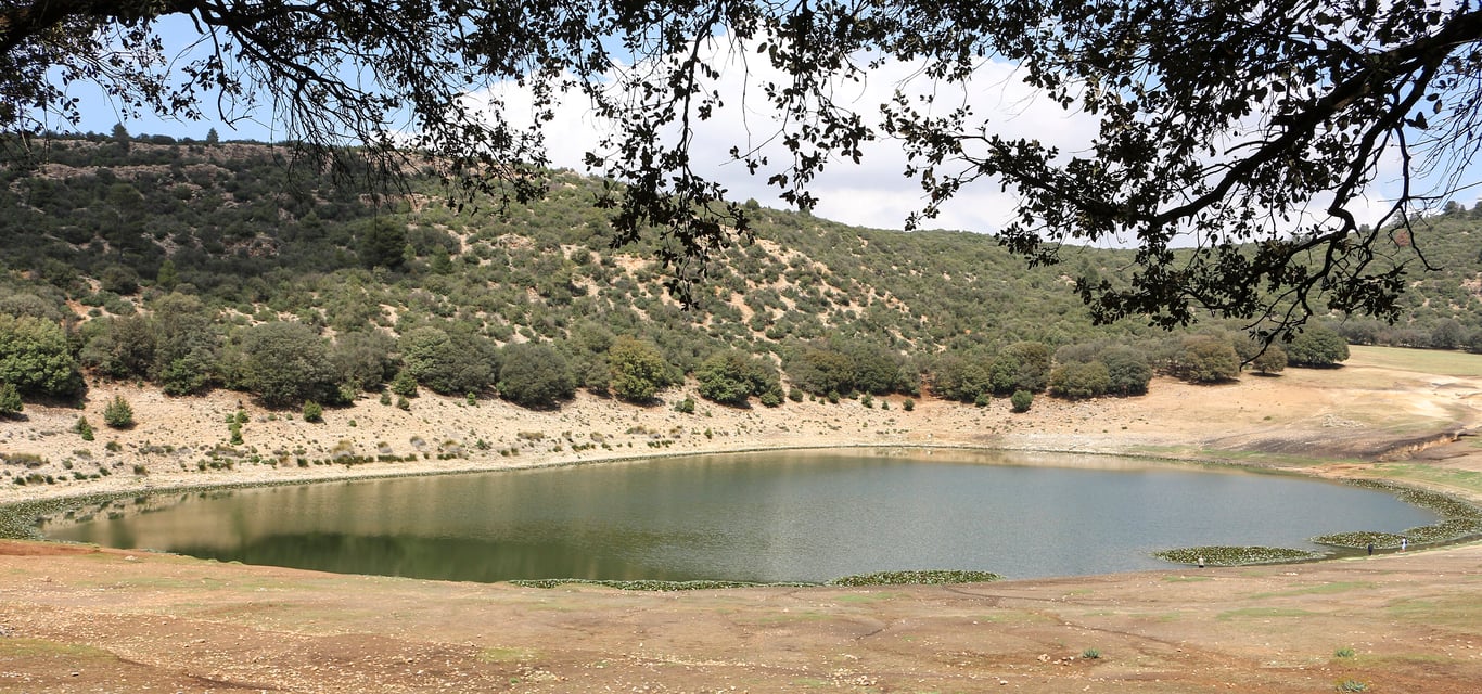 From Fez: Middle Atlas – Private Day Trip