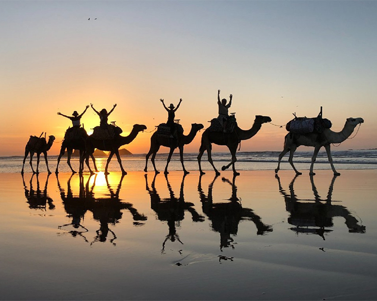 Kameelrit in Agadir