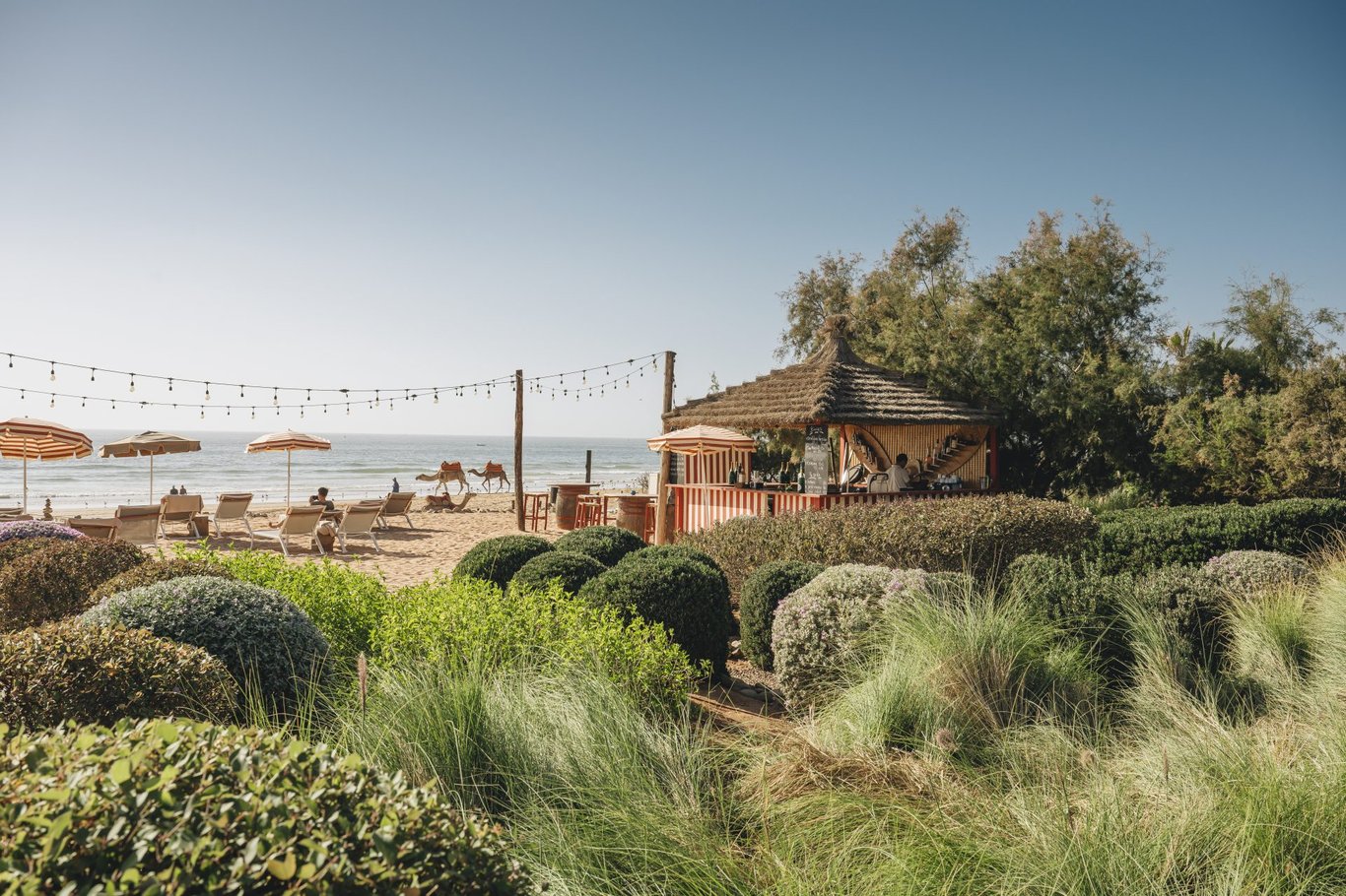 Paradis Plage Beach Bar