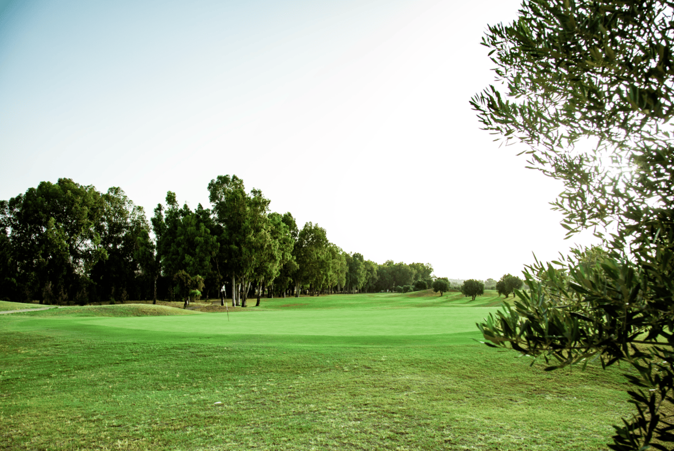 Oued Fès Golf