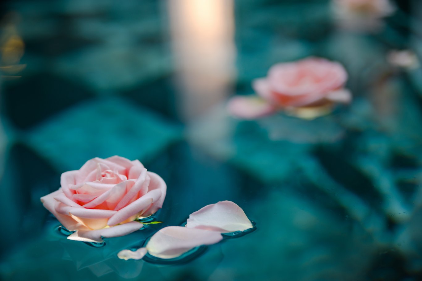 Les Bains du Lotus 8
