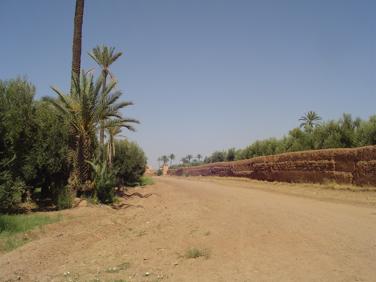 حدائق أكدال