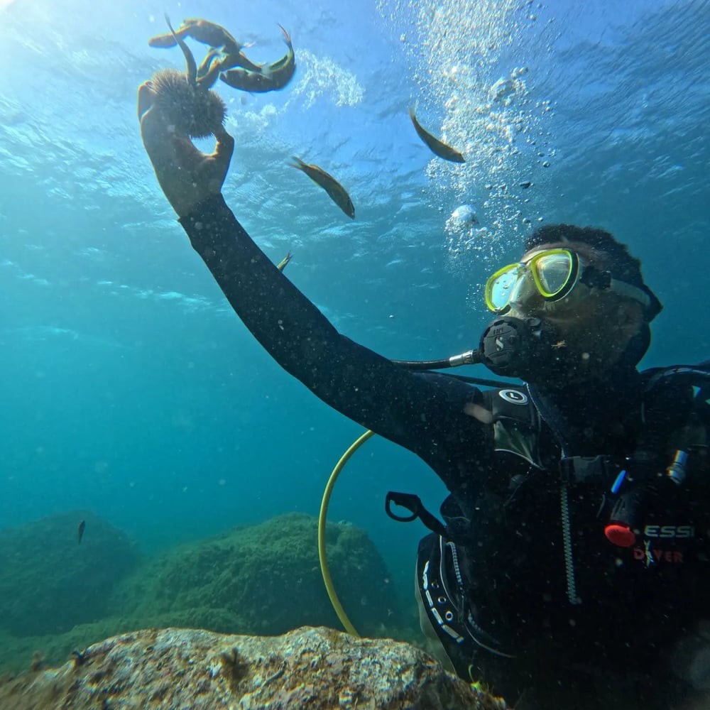 Buceo en M'diq