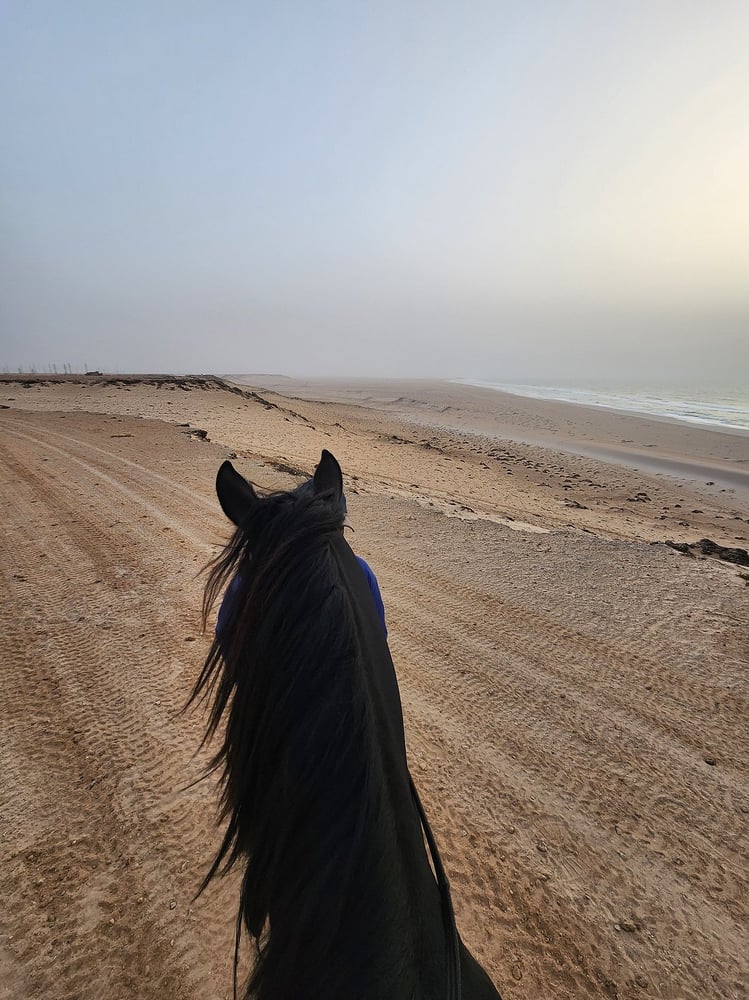 Passeggiata a Cavallo a Dakhla