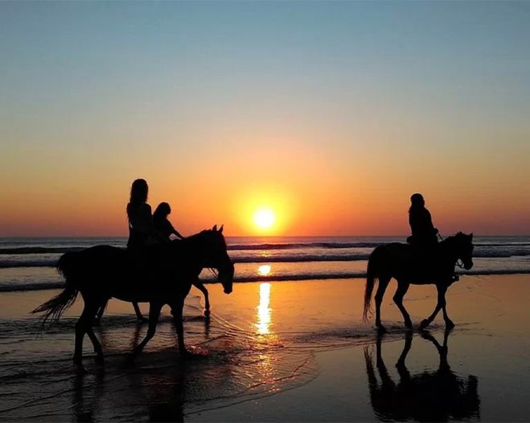Paseo a Caballo en Agadir