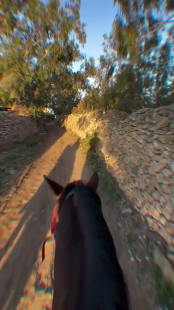 Horse riding in Casablanca