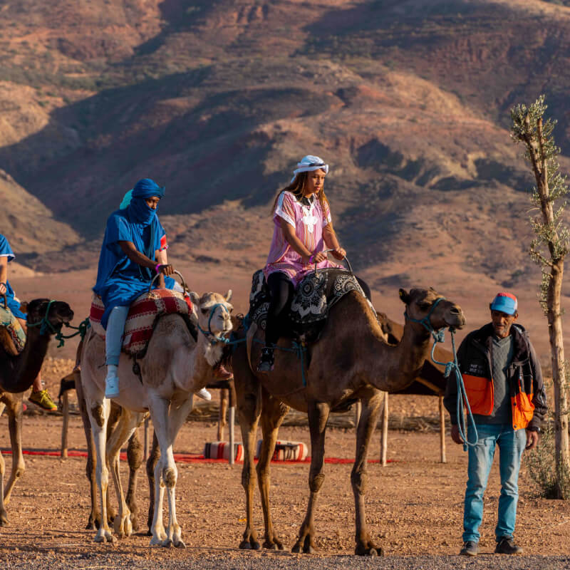 Desert Magic Camp