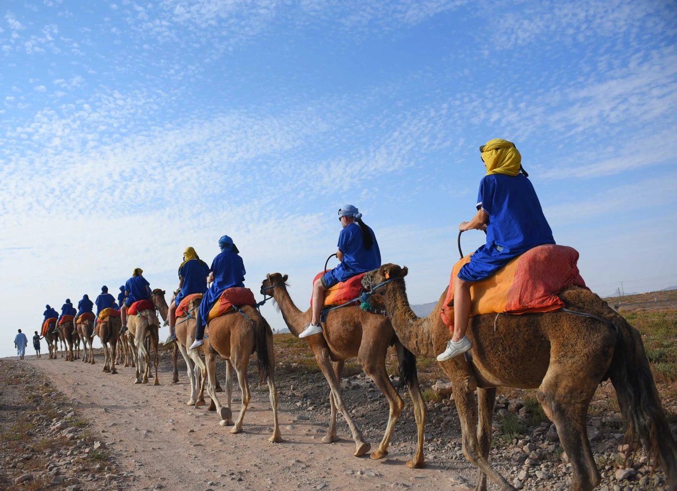 Giro in Cammello a Marrakech (Palmeraie)