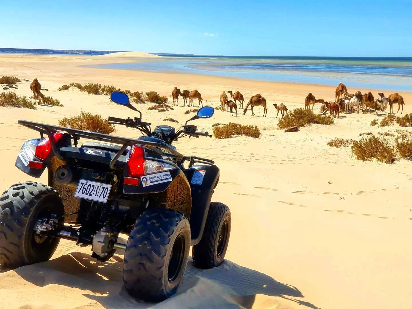 Quad Biking in Dakhla