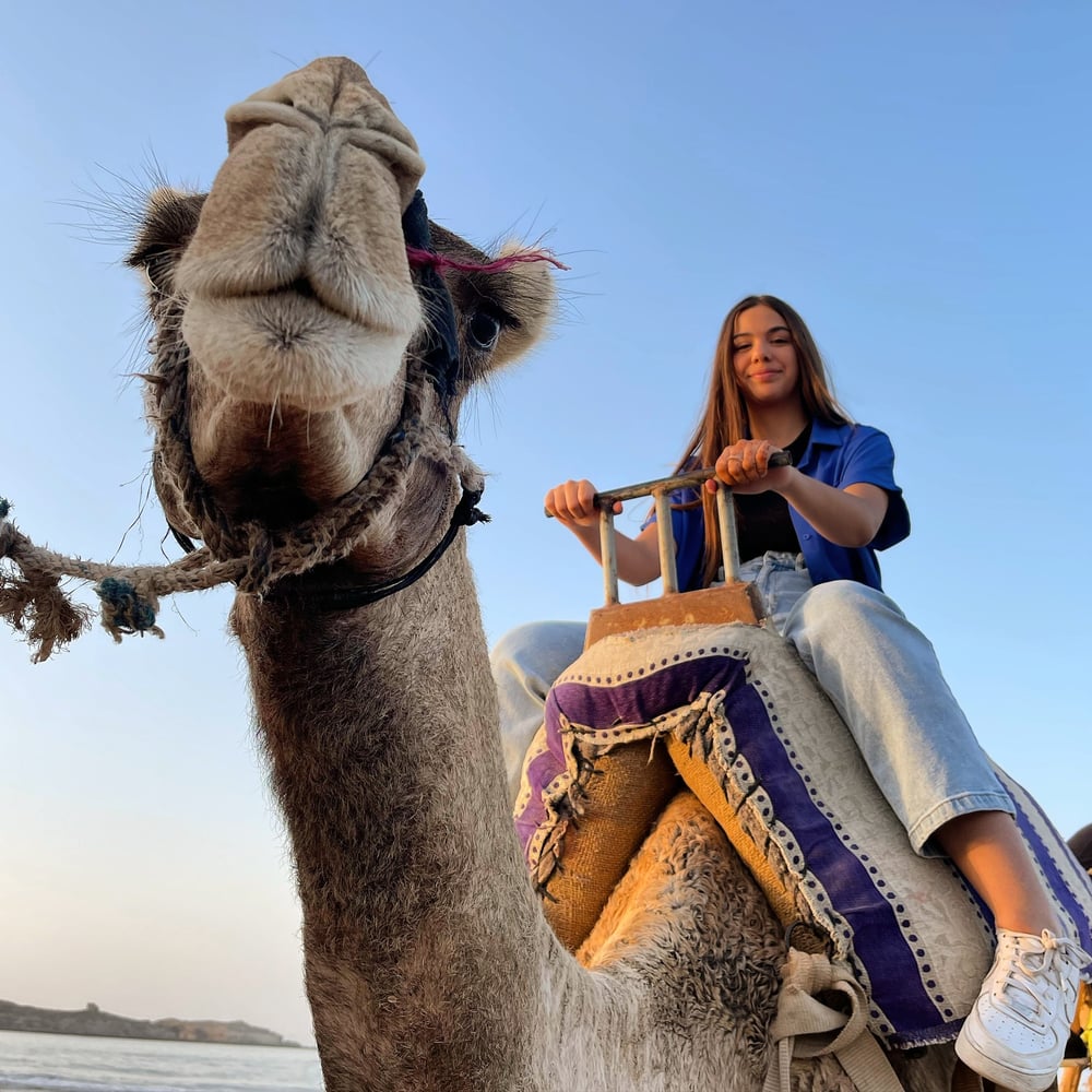 Camel Ride in Essaouira