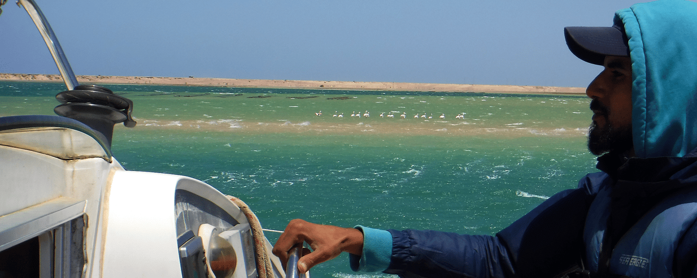 Catamaran Sailing in Dakhla