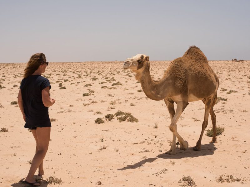 الجولة الكبرى إلى إيمليلي والكثيب الأبيض بسيارة رباعية الدفع في الداخلة