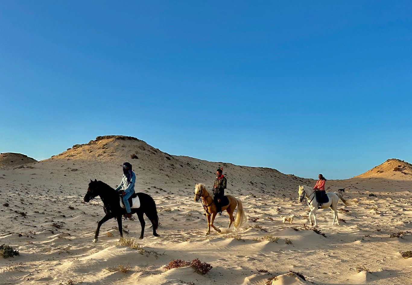 Passeggiata a Cavallo a Dakhla