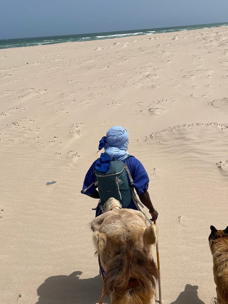 Camel Ride in Dakhla