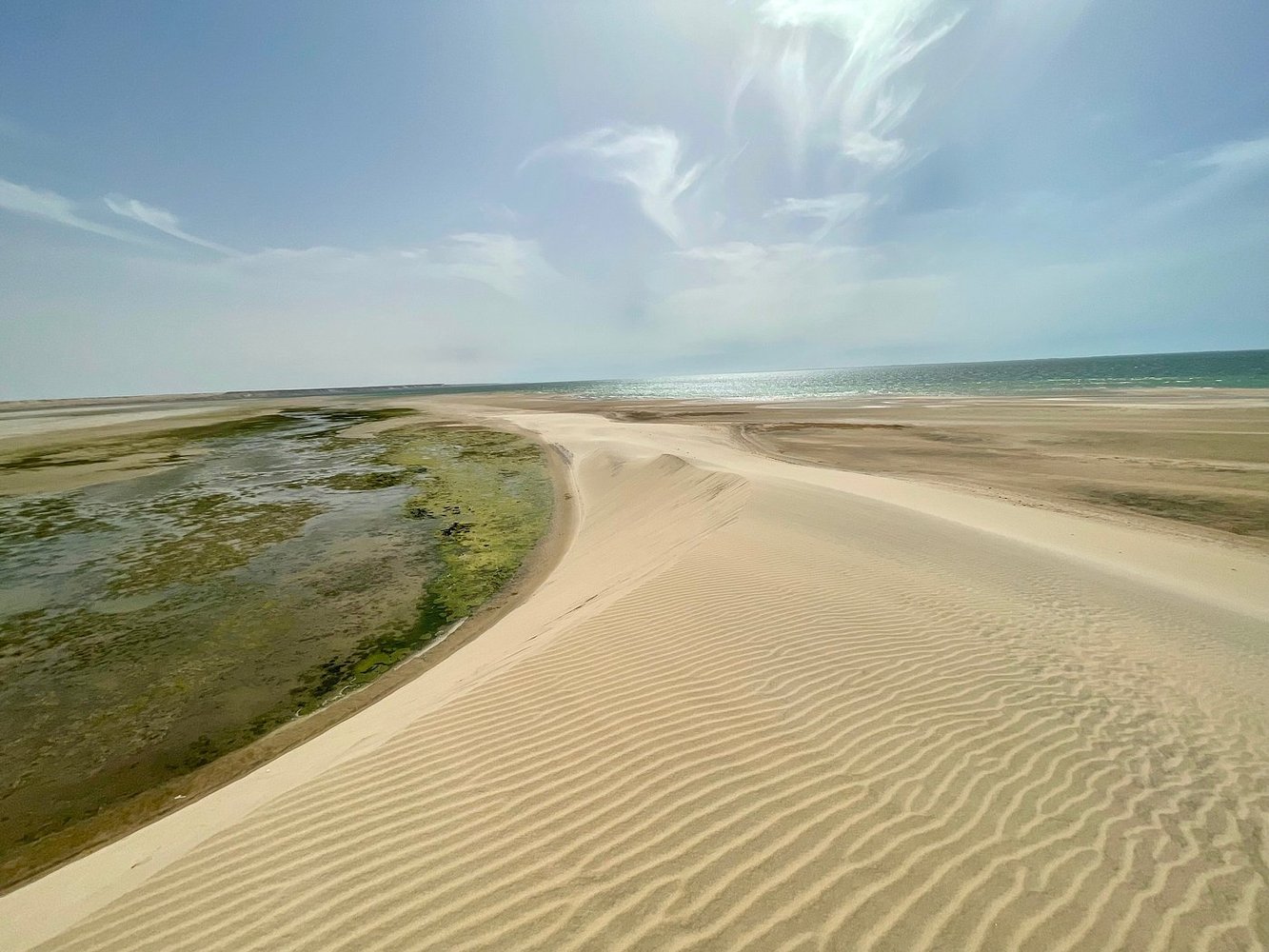 Desert Safari in Dakhla