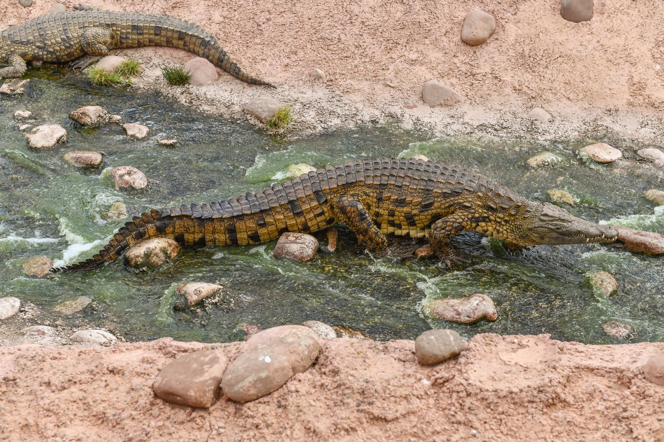 8+ Choses à Faire à Agadir : Des Expériences Inoubliables pour Chaque Voyageur